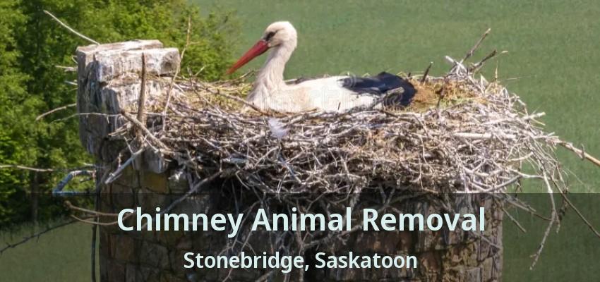 Chimney Animal Removal Stonebridge, Saskatoon - SK
