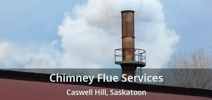 Chimney Flue Services Caswell Hill, Saskatoon - SK