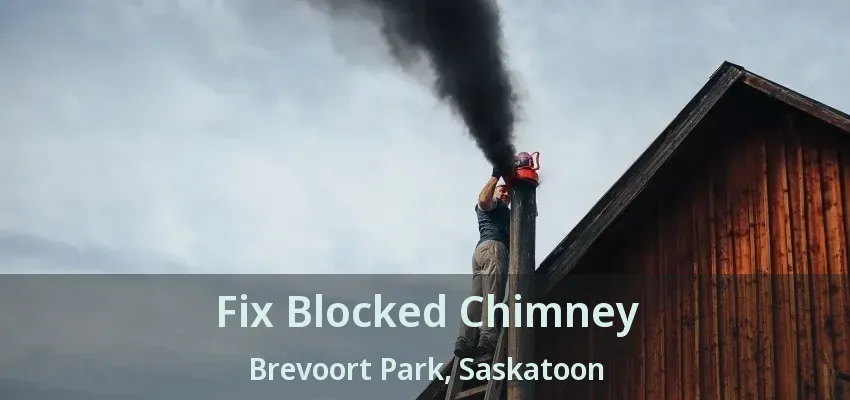 Fix Blocked Chimney Brevoort Park, Saskatoon - SK Fix Blocked Chimney Brevoort Park, Saskatoon - SK
